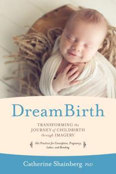 Paperback Dreambirth: Transforming the Journey of Childbirth Through Imagery Book