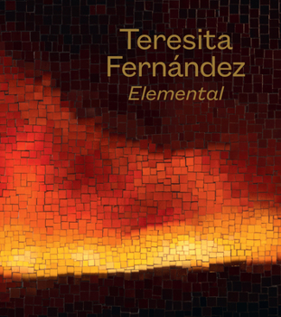 Hardcover Teresita Fernández: Elemental Book
