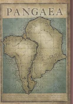 Paperback Pangaea: New Art from Africa and Latin America Book