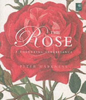 Hardcover The Rose: The Fine Art of Cultivation. Peter Harkness Book