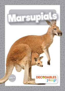 Paperback Marsupials Book