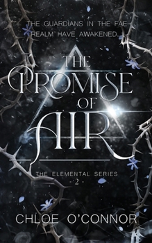 Paperback The Promise of Air Book