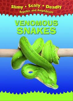 Library Binding Venomous Snakes Book