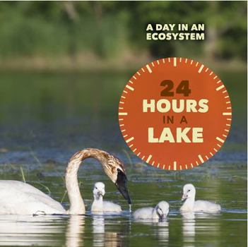 24 Hours in a Lake - Book  of the A Day in an Ecosystem
