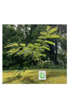 Paperback 0: The Journey Back To Self Book