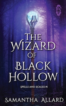 Paperback The Wizard of Black Hollow Book