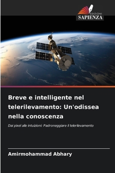 Paperback Breve e intelligente nel telerilevamento: Un'odissea nella conoscenza [Italian] Book