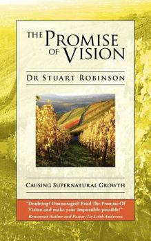 Paperback The Promise of Vision Book
