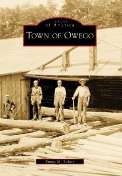 Paperback Town of Owego Book