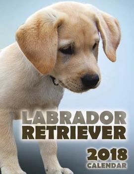 Paperback Labrador Retriever 2018 Calendar Book