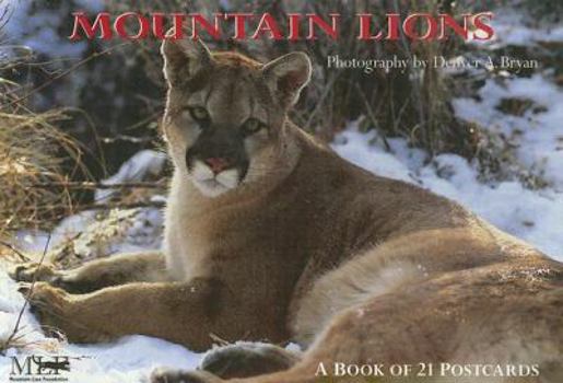 Card Book Mountain Lion Book