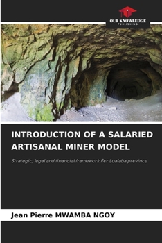 Introduction of a Salaried Artisanal Miner Model