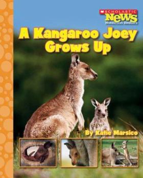Paperback A Kangaroo Joey Grows Up (Scholastic News Nonfiction Readers: Life Cycles) Book