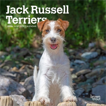 Calendar Jack Russell Terriers | 2026 7 x 14 Inch (Hanging) Monthly Mini Wall Calendar | BrownTrout | Animals Dog Breeds Book