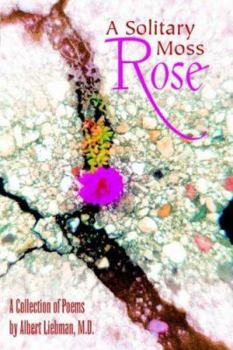 A Solitary Moss Rose
