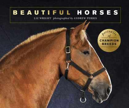 Paperback Beautiful Horses: Portraits of Champion Breeds Book