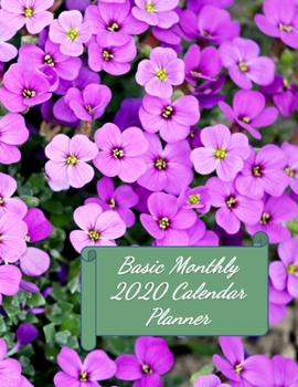 Basic Monthly 2020 Calendar Planner: A Monthly Planner for 2020 8.5x11 90 page