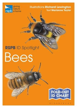 Paperback Rspb Id Spotlight - Bees Book