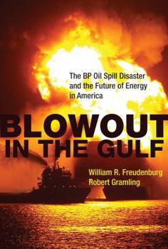 Hardcover Blowout in the Gulf: The BP Oil Spill Disaster and the Future of Energy in America Book