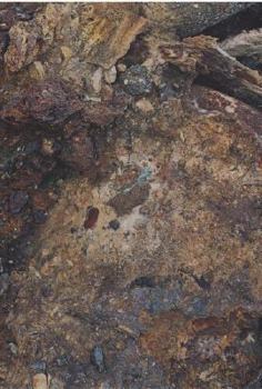 Hardcover Borderlands Book