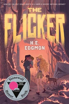 Hardcover The Flicker Book