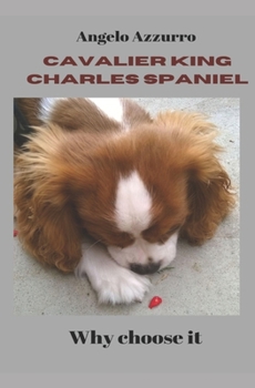 Paperback Cavalier King Charles Spaniel: Why choose it Book