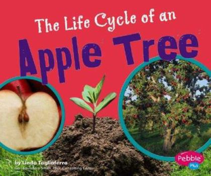Hardcover The Life Cycle of an Apple Tree Book