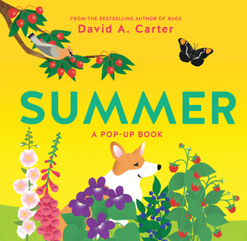 Hardcover Summer: A Pop-Up Book
