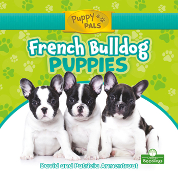 Library Binding French Bulldog Puppies Book