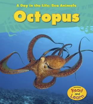 Paperback Octopus Book