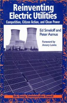 Hardcover Reinventing Electric Utilities Book