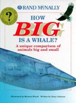 Hardcover How Big Is a Whale? Book