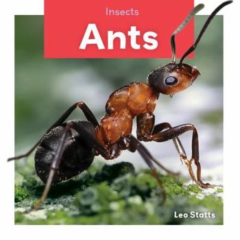 Library Binding Ants Book