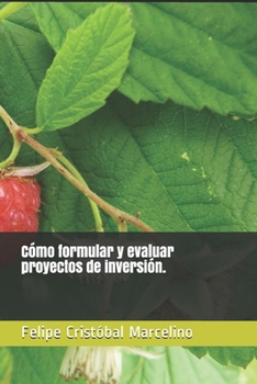 Paperback Cómo formular y evaluar proyectos de inversión. [Spanish] Book