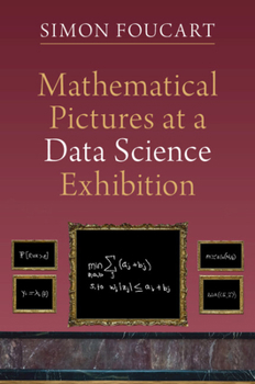 Paperback Mathematical Pictures at a Data Science Exhibition Book