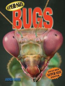 Hardcover Super-Size Bugs [With Super-Size Poster] Book