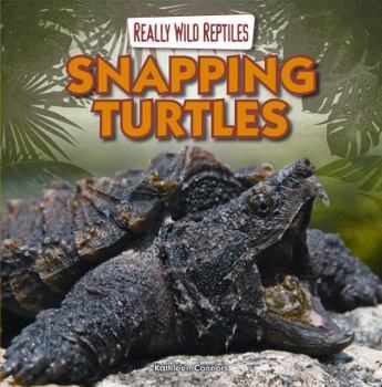 Paperback Snapping Turtles Book