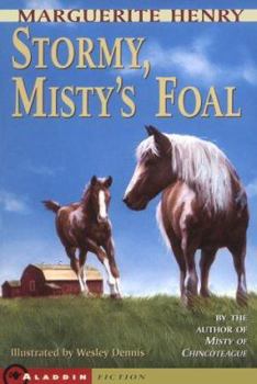 Paperback Stormy, Misty's Foal Book