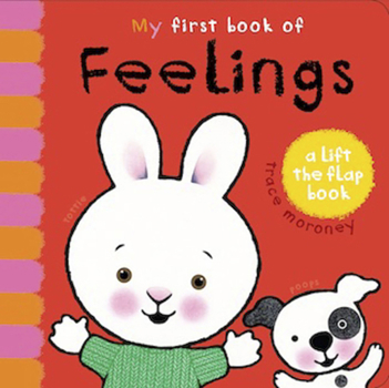 My First Book of Feelings: A Lift The Flap Book