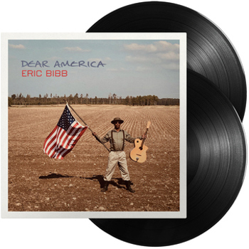 Vinyl Dear America Book
