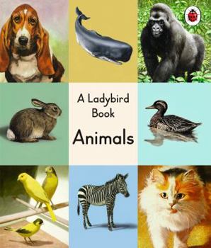 Hardcover A Ladybird Book: Animals Book