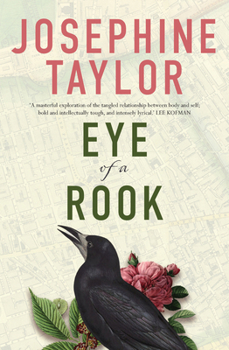 Paperback Eye of a Rook Book