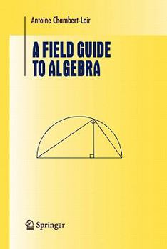 Paperback A Field Guide to Algebra Book