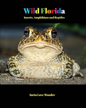 Paperback Wild Florida: Insects, Amphibians and Reptiles Book