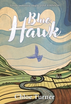 Hardcover Blue Hawk Book