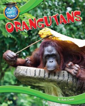 Orangutans - Book  of the World's Smartest Animals