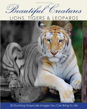Paperback Beautiful Creatures: Lions, Tigers & Leopards Book