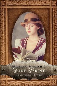Fine Print - Book #3 of the Meddlin' Madeline