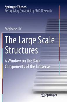 Paperback The Large Scale Structures: A Window on the Dark Components of the Universe Book