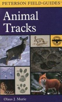 Paperback A Field Guide to Animal Tracks Book